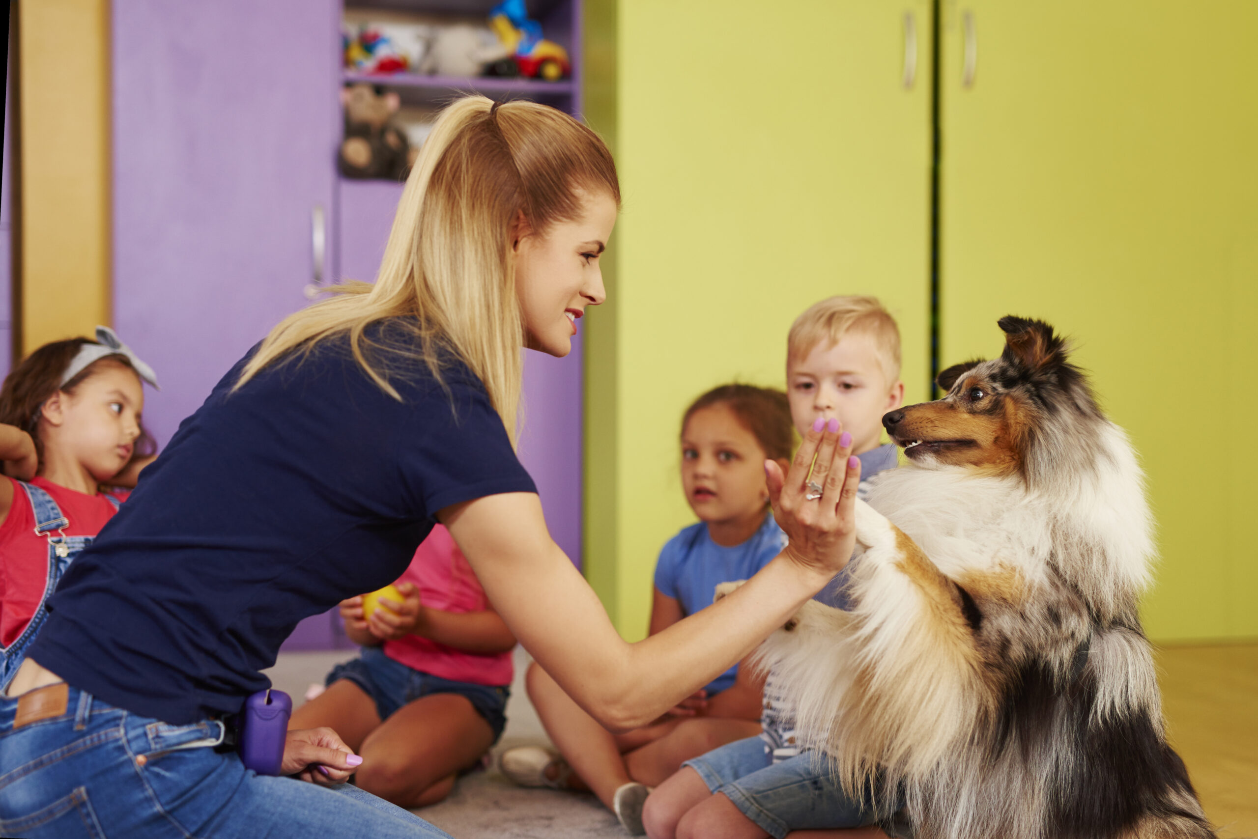 local dog daycare- What To Look for In A Good Dog Daycare 