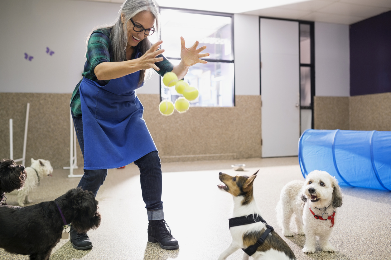pros and cons of dog daycare